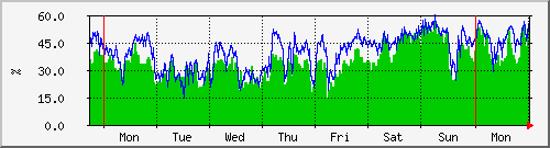 week week